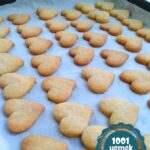 Zencefilli-ve-tarcinli-Biskuvi-Kurabiye-Tarifi-nasil-yapilir-kac-kalori-kolay-puf-noktasi-1001yemektarifi