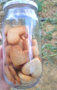 Zencefilli-ve-tarcinli-Biskuvi-Kurabiye-Tarifi-nasil-yapilir-kac-kalori-kolay-puf-noktasi