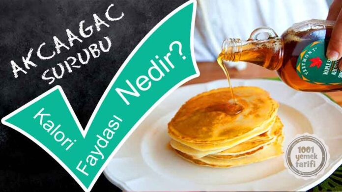 akcaagac-surubu-nedir-akcaagac-yapragi-akcaagac-surubu-faydalari-kac-kalori-zarrlari-1001yemektarifi-yemekleri Akçaağaç Şurubu Nedir? Akçaağaç Şurubu Faydaları, Tohumu, Yaprağı