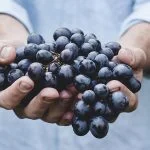 banner-01