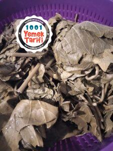 Zeytinyağlı Yaprak Sarması Tarifi
