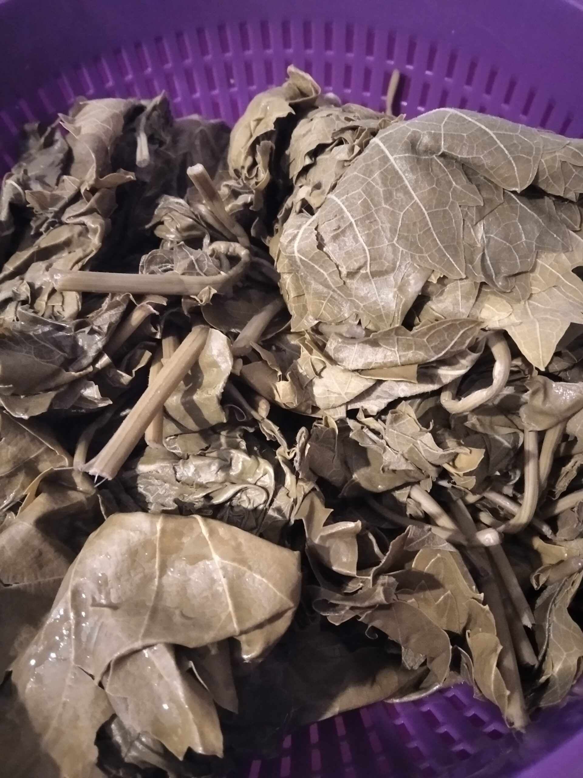 Zeytinyağlı Yaprak Sarması Tarifi