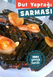 dut-yapragi-sarmasi-tarifi-nasil yapilir-kac kalori-kolay-puf noktasi-nefis-1001yemektarifi