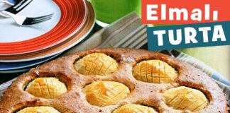 elmali-turta-tarifi-orijinal-tart-kac-kalori-yapimi