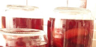 erik kompostosu tarifi nasil yapilir kac kalori nefis kolay-1001yemektarifi