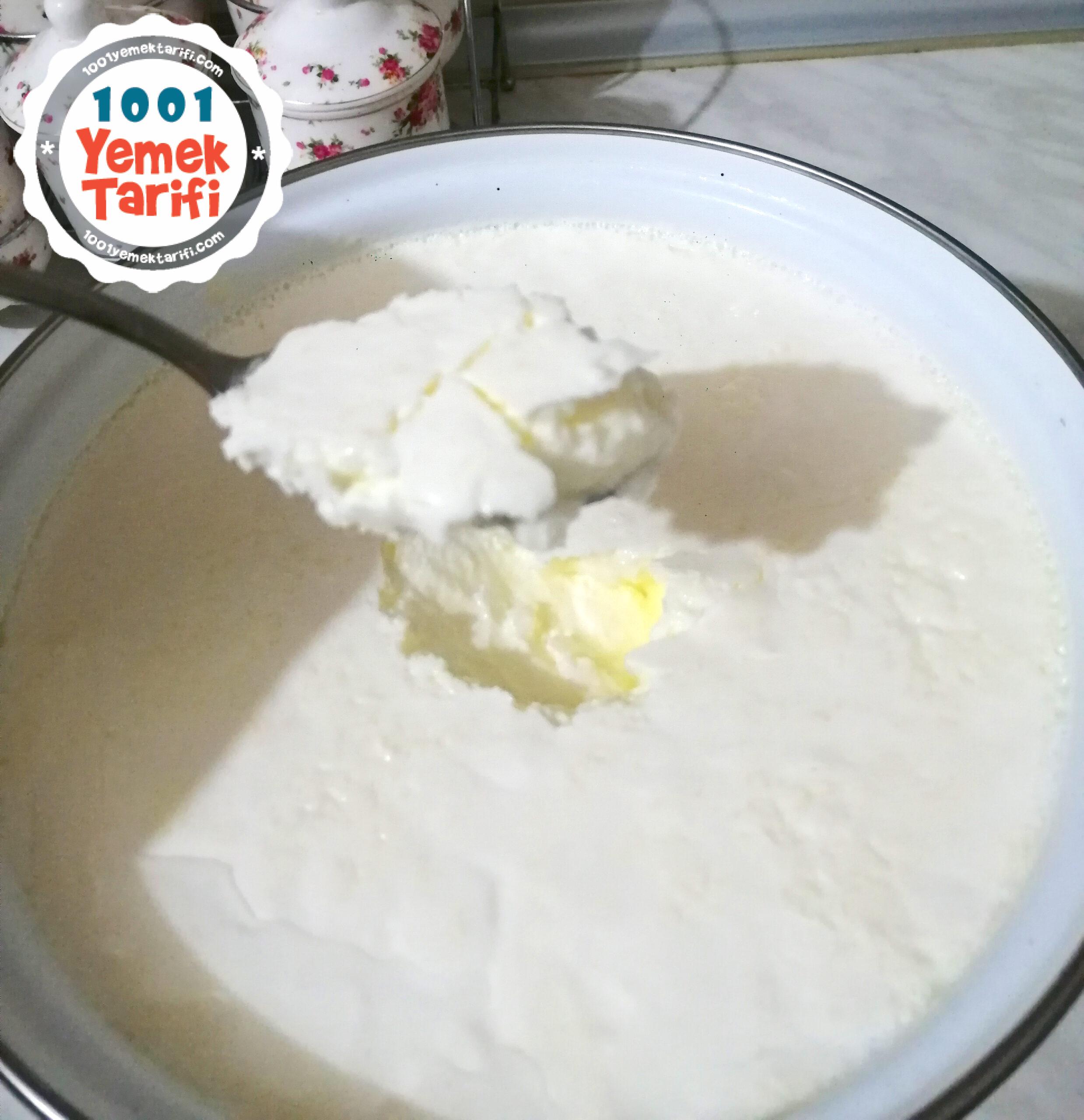 ev yapımı yoğurt tarifi