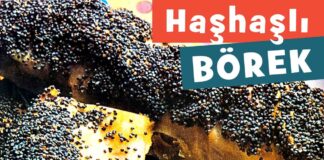 hashasli-sebze-boregi-tarifi-nasil yapilir-yapilisi-yapimi-kac kalori-nefis ev yapimi kolay-1001yemektarifi