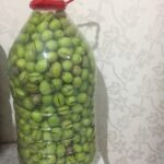 yeşil zeytin yapımı-ev yapımı kolay zeytin nasıl yapılır tarifi-1001yemektarifi