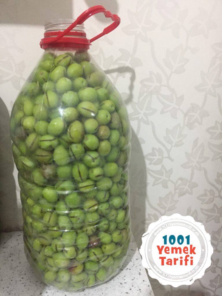 yeşil zeytin yapımı-ev yapımı kolay zeytin nasıl yapılır tarifi-1001yemektarifi