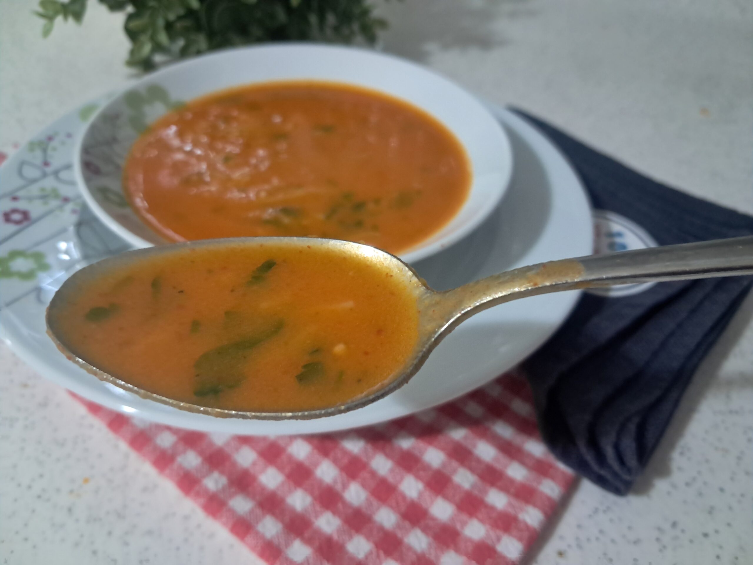 Sebzeli Tel Şehriye Çorbası