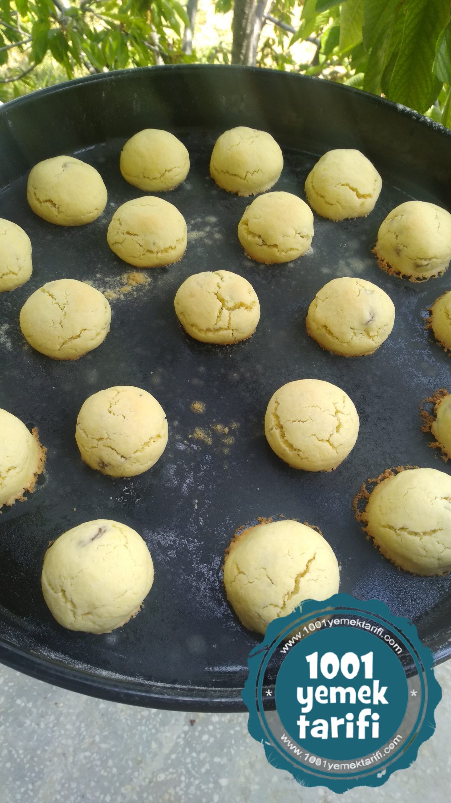 margarinsiz-rezeneli-ve-uzumlu-kurabiye-tarifi