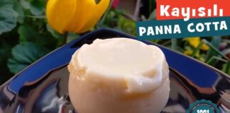 kayisili Panna Cotta Tarifi-Nerenin-kac kalori-panna kotta yapimi-nasil yapilir-yapilisi-ev yapimi-kolay-nefis-1001yemektarifi