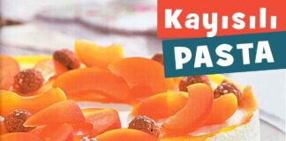 kayisili Pasta Tarifi-Kolay Yas Pasta Tarifleri-nasil yapilir-yapimi-yapilisi-kac kalori-kolay ev yapimi meyveli pasta tarifleri-nefis-1001yemektarifi