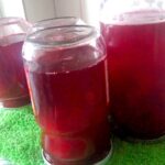 kirmizi-erik-kompostosu-tarifi-nasil-yapilir-kac-kalori-erik-suyu-tarifi-erik-hosafi-kompostosu-yapimi-puf-noktasi-1001yemektarifi