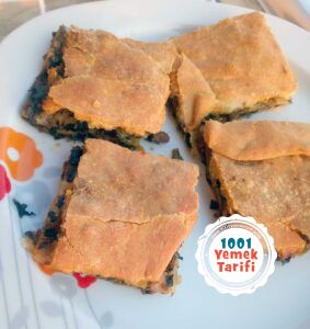 Kıymalı Ispanaklı Börek Tarifi