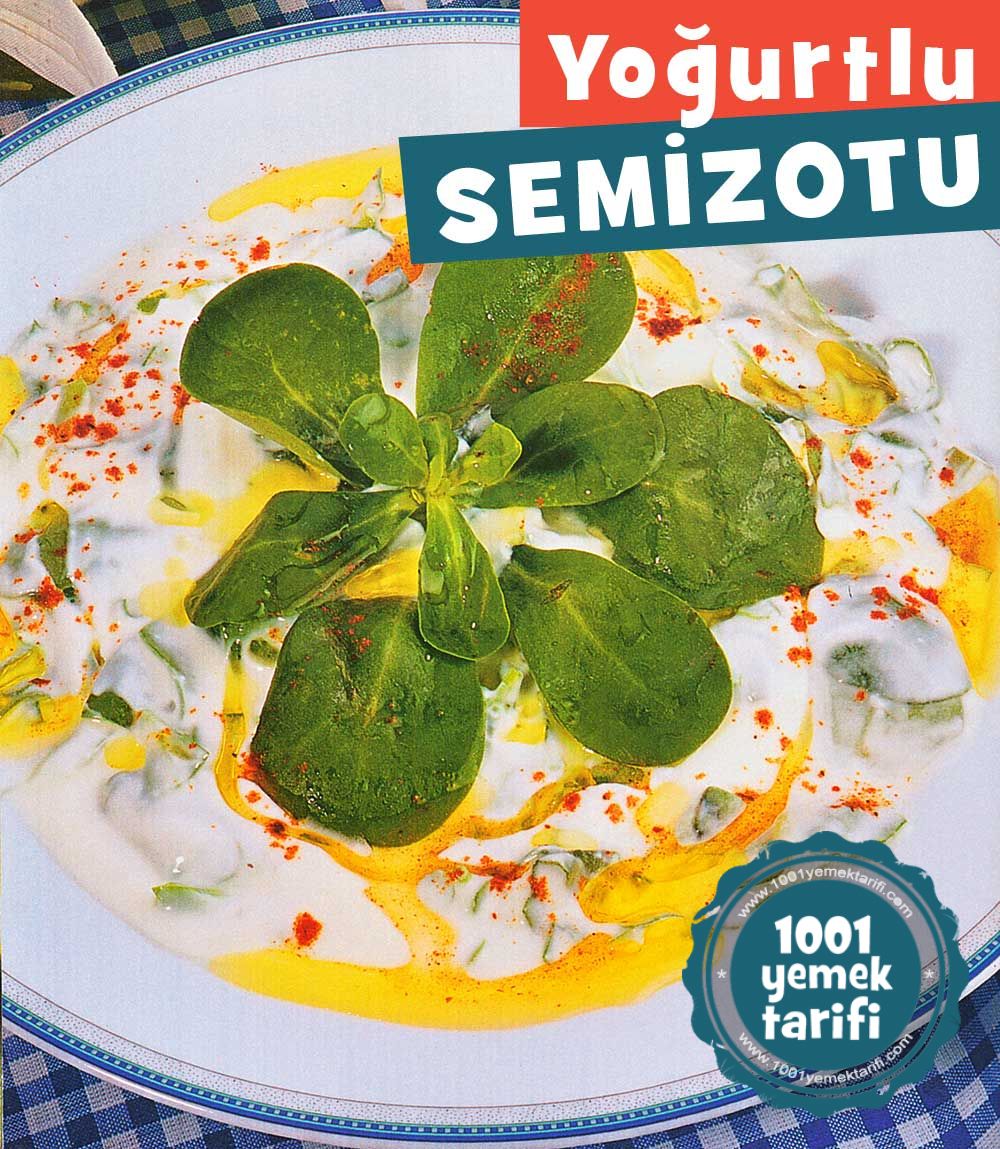 kolay-meze-tarifi-yogurtlu-semizotu-yapimi-kac-kalori-nasil yapilir-nefis-pratik mezeler-tarifler-1001yemektarifi