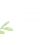 leaves-bg-rev
