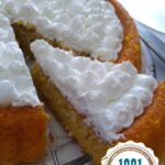 revani-tarifi-kolay-portakalli-revani-yapimi-nasil-yapilir-kac-kalori-nefis-puf-noktasi-1001yemektarfi