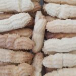 tırtıl kurabiye (1)