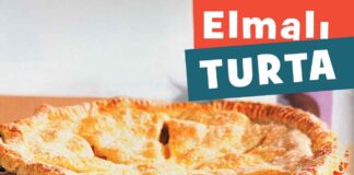 vardiyali-elmali-turta-yapimi-nefis-kolay-kac-kalori-tart tarifi-nasil-yapilir-1001yemektarifi